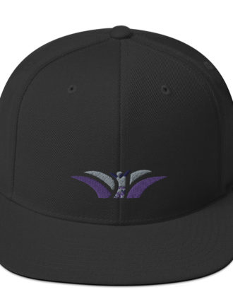 TTW Snapback Hat